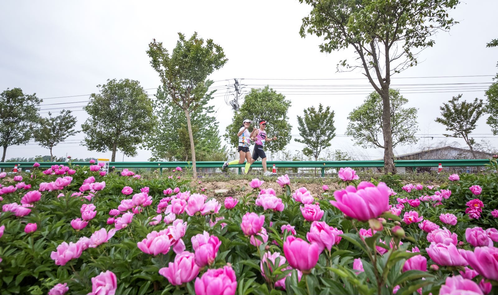 如图片无法显示，请刷新页面