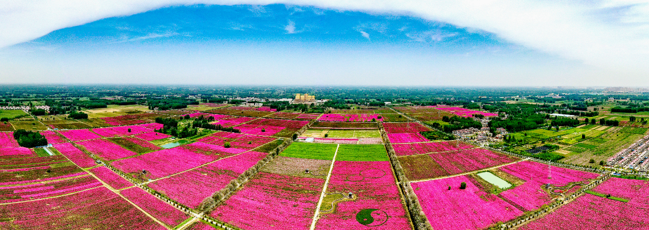 如图片无法显示，请刷新页面