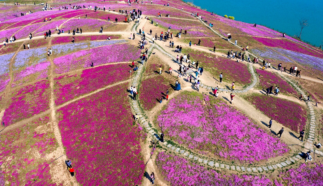 如图片无法显示，请刷新页面